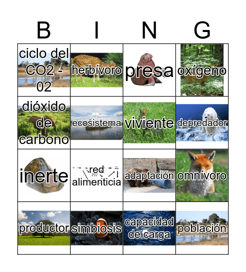 Ecosistema e interacciones Bingo Card