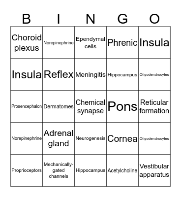 Nervous System Bingo Card