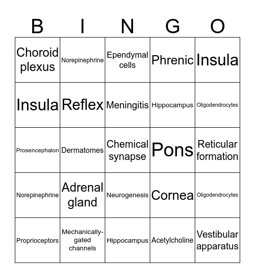 Nervous System Bingo Card