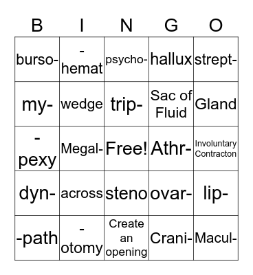 Bingo for lessons 1-5 Bingo Card