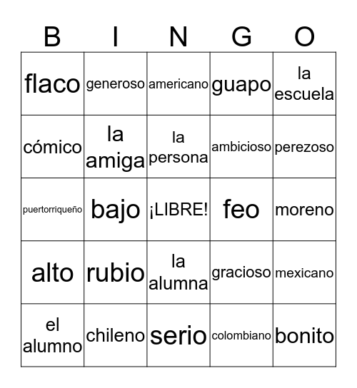 Español 1 - Capítulo 1 - Un Amigo o Una Amiga Bingo Card