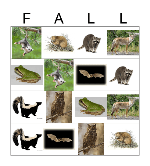 FALL Bingo Card