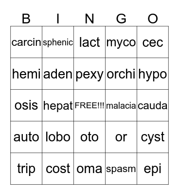 Chapters 1-5 Bingo Card