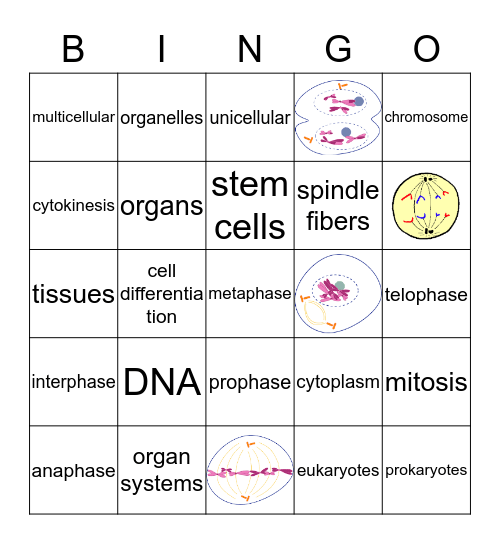 Chapter 3 Bingo Review Bingo Card