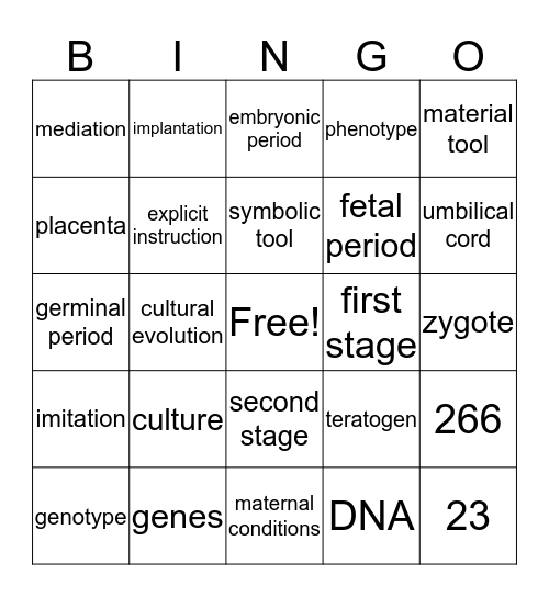 Early Child Development Bingo Card