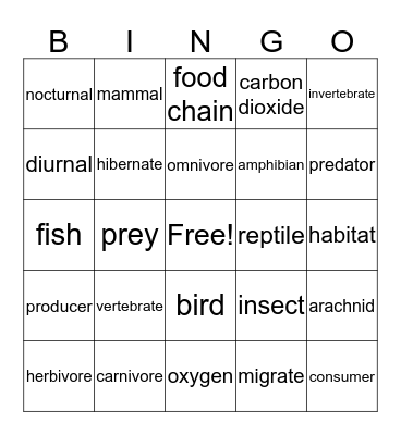 Animal Identification Bingo Card