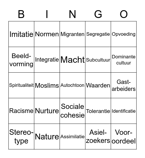 Pluriforme samenleving Bingo Card