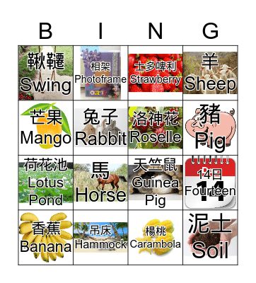 Farm Bingo!!!! Bingo Card