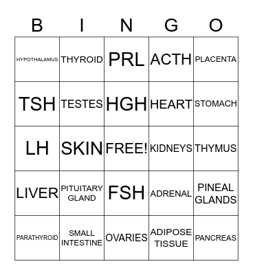 ENDOCRINE Bingo Card