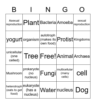6 Kingdoms BINGO Card