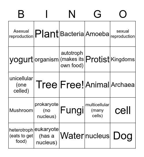 6 Kingdoms BINGO Card