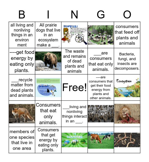 Science Vocabulary Game Bingo Card