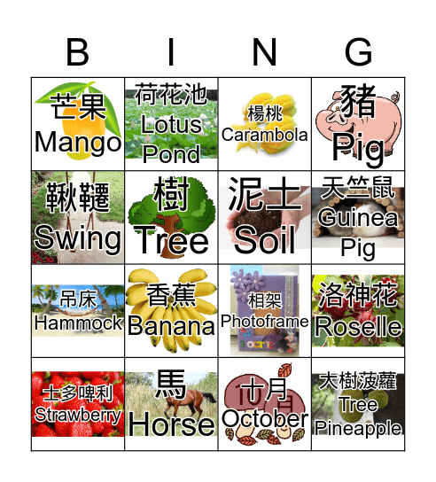 Farm Bingo!!! Bingo Card