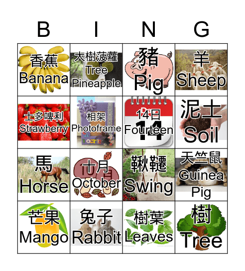 Farm Bingo!!! Bingo Card