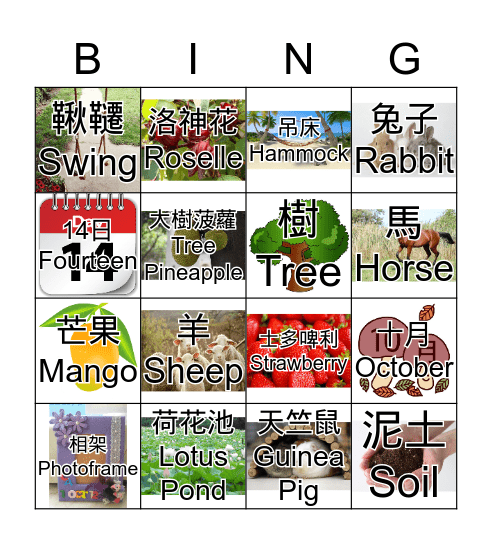 Farm Bingo!!! Bingo Card