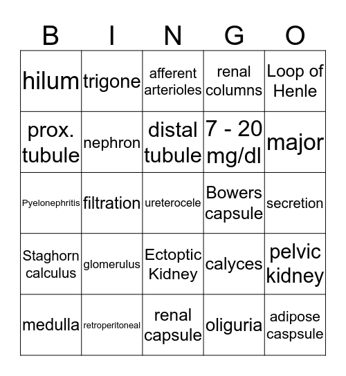 Urinary Bingo Card