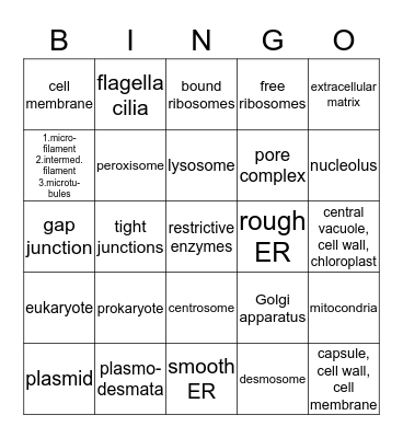 AP BIO CELLS/ORGANELLES/CYTOSKELETON Bingo Card