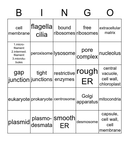 AP BIO CELLS/ORGANELLES/CYTOSKELETON Bingo Card