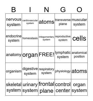 Anatomy and Physiology Chapter 1 Vocabulary Bingo Card