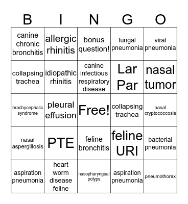 Small Animal Respiratory Bingo! Bingo Card
