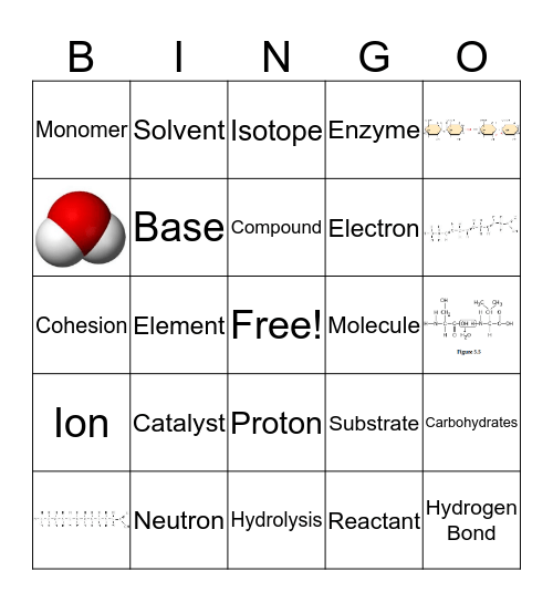 Biochemistry Bingo Card