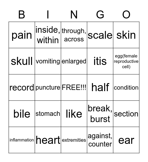 Jasmine's Bingo Card