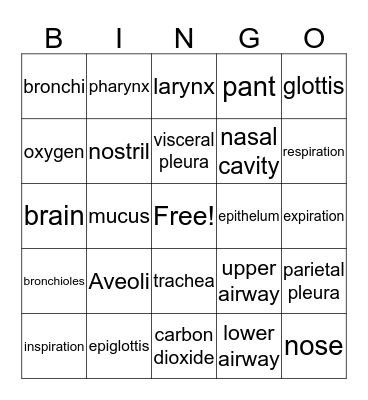 Respiratory System  Bingo Card