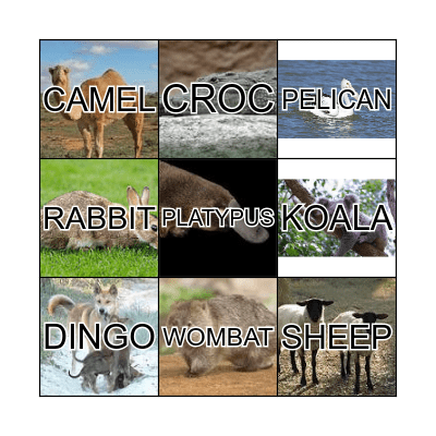 Australian Wildlife Bingo Card