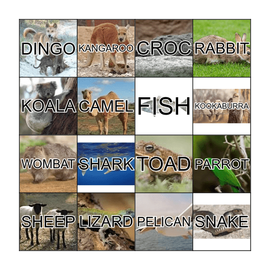 Australian Wildlife Bingo Card