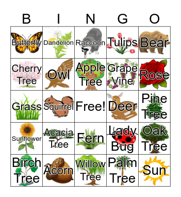 Nature Bingo Card