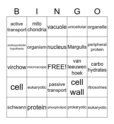 All About Cells Bingo Card