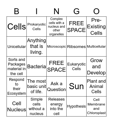 Structure of Life  Bingo Card