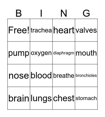 Vocabulary Bingo Card