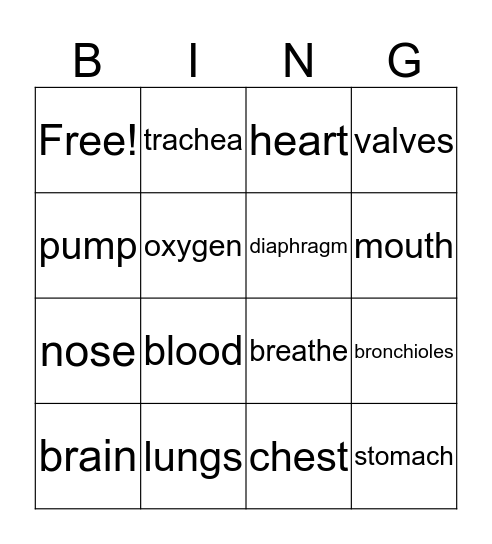 Vocabulary Bingo Card