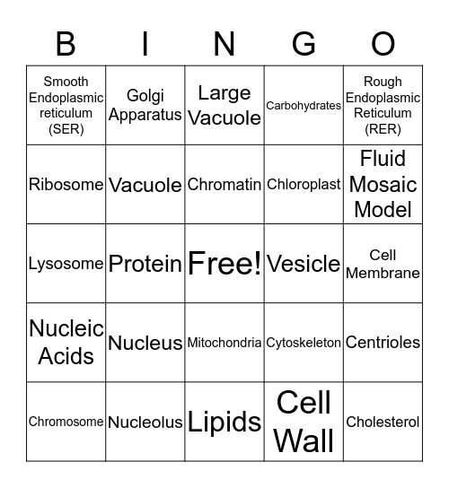 Cell Organelles Bingo Card