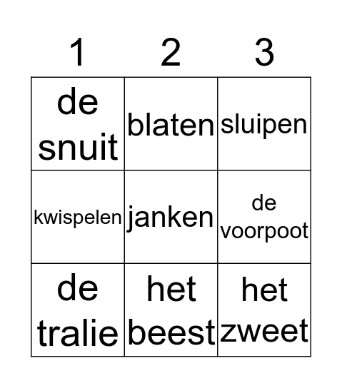 Woordenschat Bingo  Bingo Card