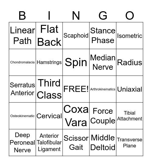 Kinesiology Bingo Card