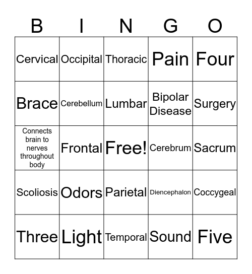 Brain & Spinal Cord  Bingo Card