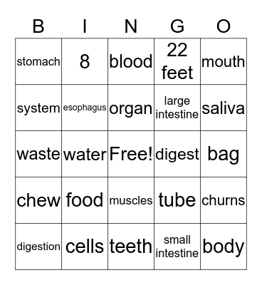 Digestive System Bingo Card