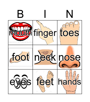 body parts  Bingo Card