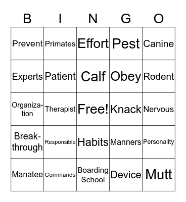 Vocabulary Bingo Card