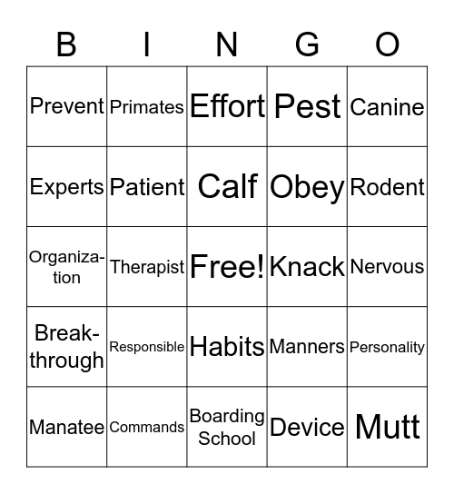 Vocabulary Bingo Card