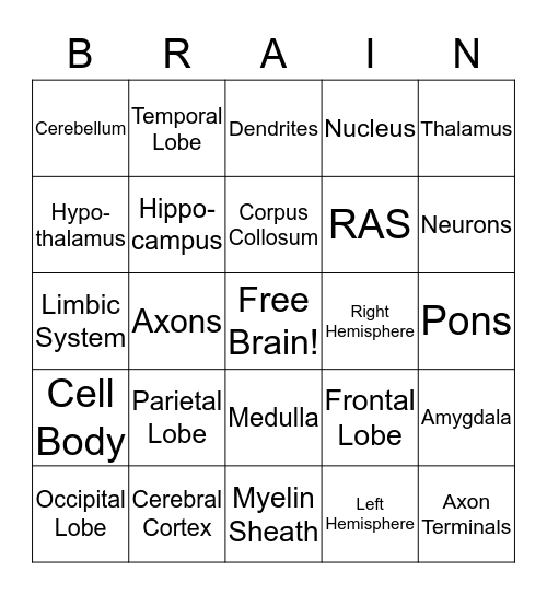 Brain Bingo  Bingo Card