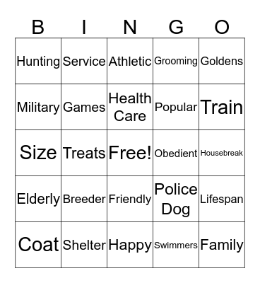 Golden Retrievers Bingo Card