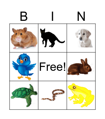 pets bingo Card
