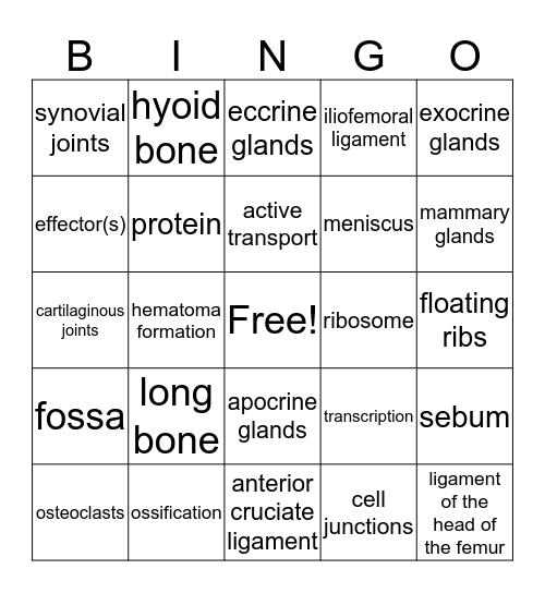 IA #1 Review Bingo Card