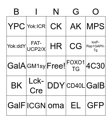 Mouse House Bingo Card