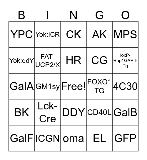 Mouse House Bingo Card