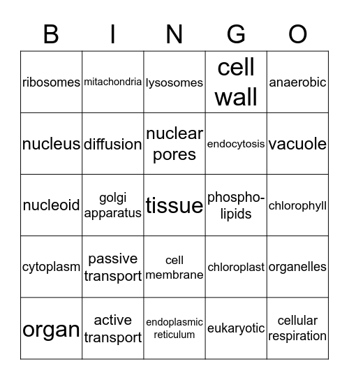 Cells Bingo Card