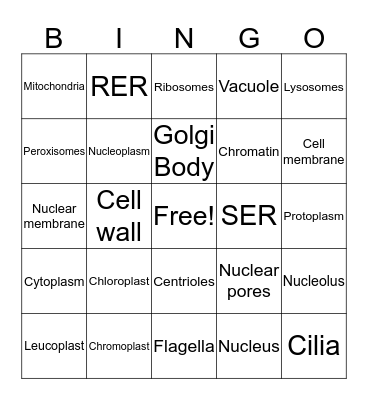 Cell Organelles Bingo Card